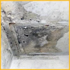 Boca Raton Restoration Company Boca Raton, FL 561-275-5990