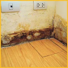 Boca Raton Restoration Company Boca Raton, FL 561-275-5990